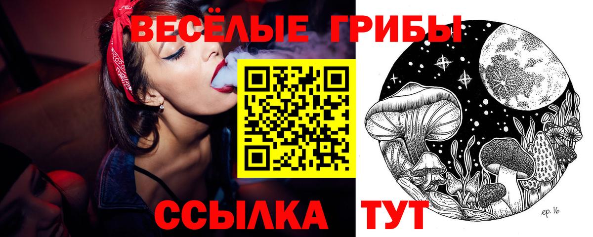 Галлюциногенные грибы мухоморы Горячий Ключ